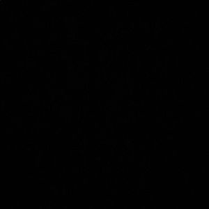 Meet your Posher, Shanae